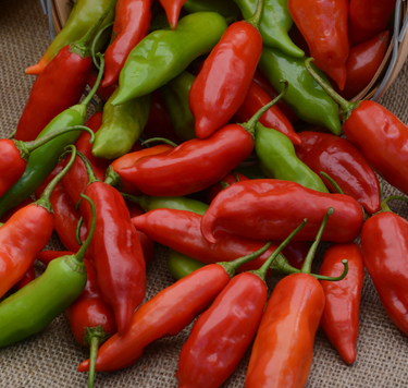 Aji Rico Hybrid Pepper Seeds